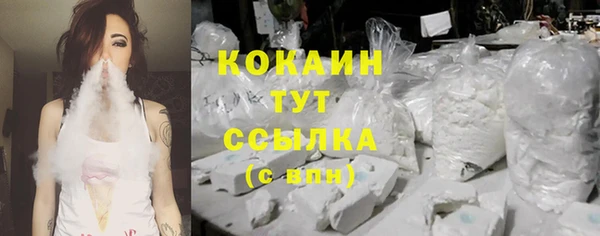 тгк Новозыбков