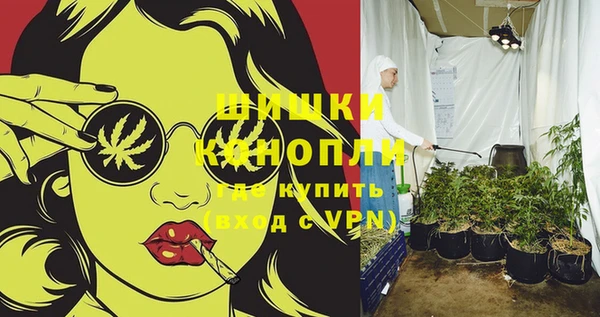 тгк Новозыбков