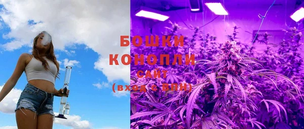 тгк Новозыбков