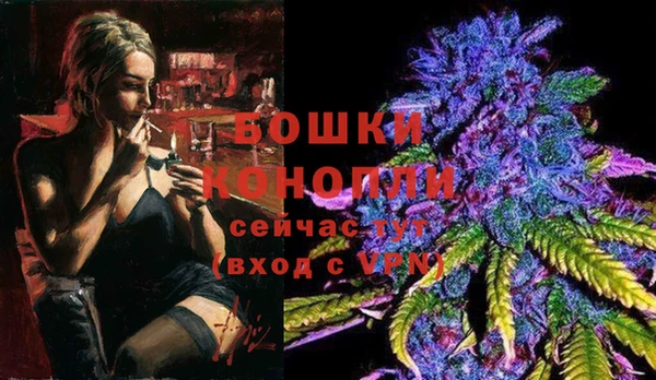 стафф Гусев